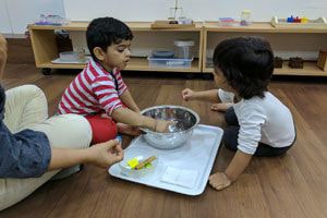 Science Exploration Week